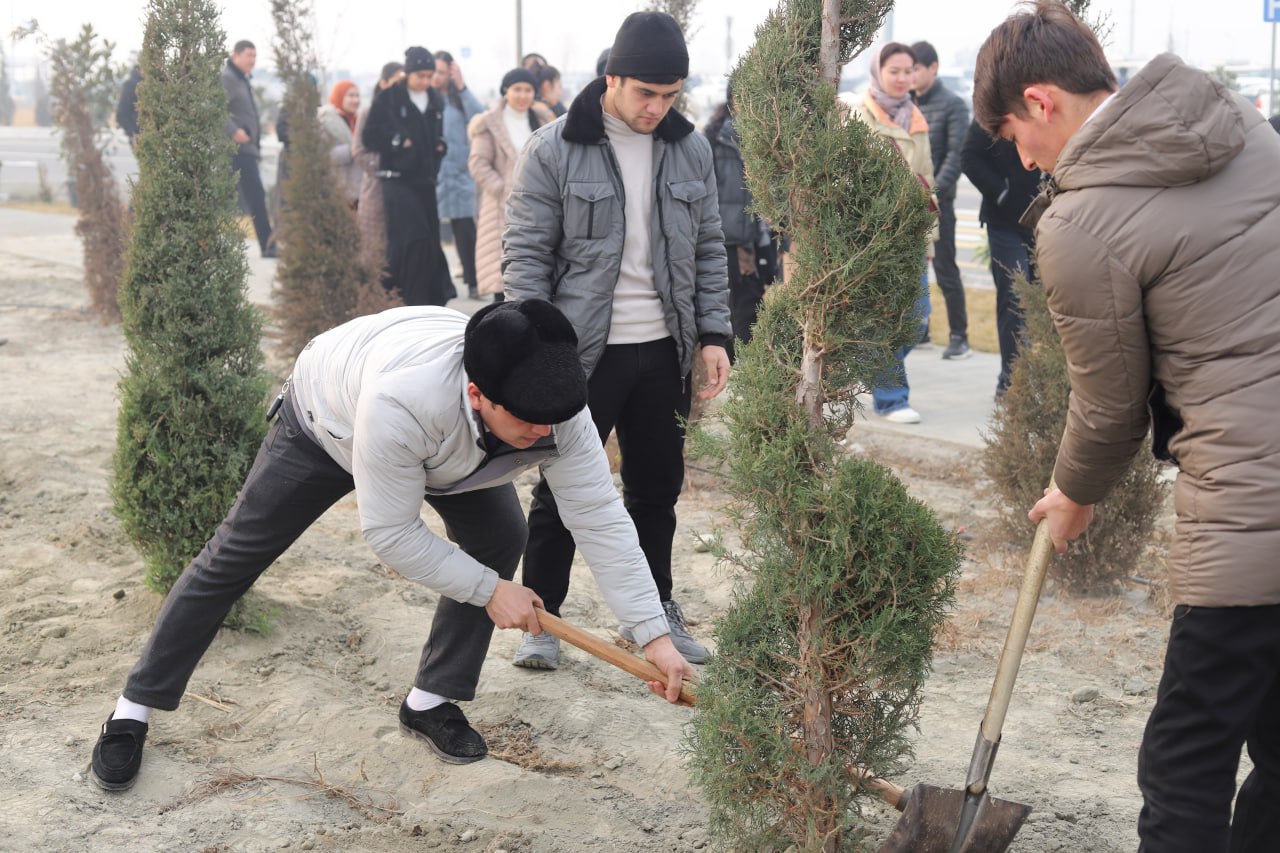 Yashil universitet faoliyati